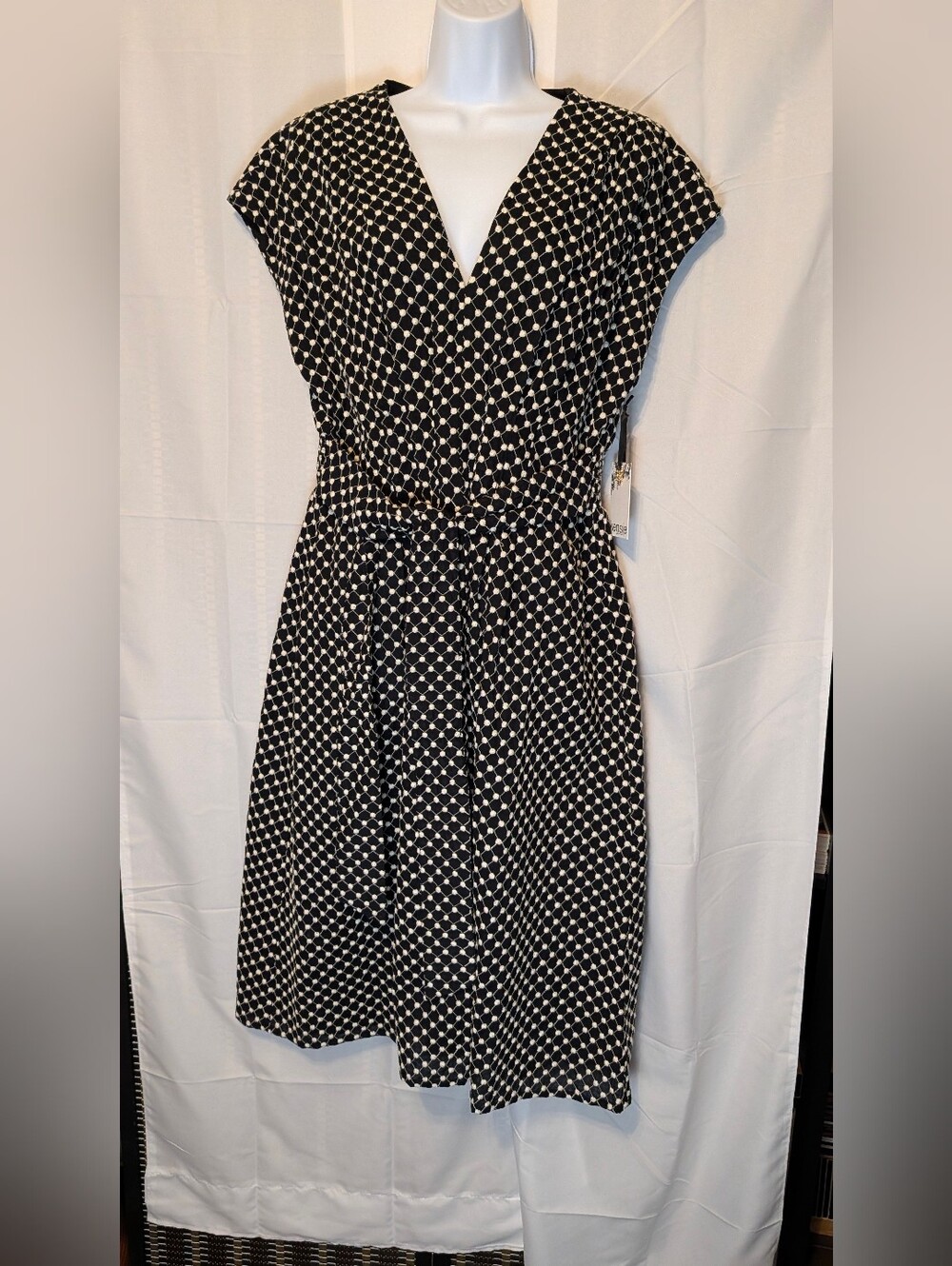 Kensie Embroidered V-Neck Dress (12)
